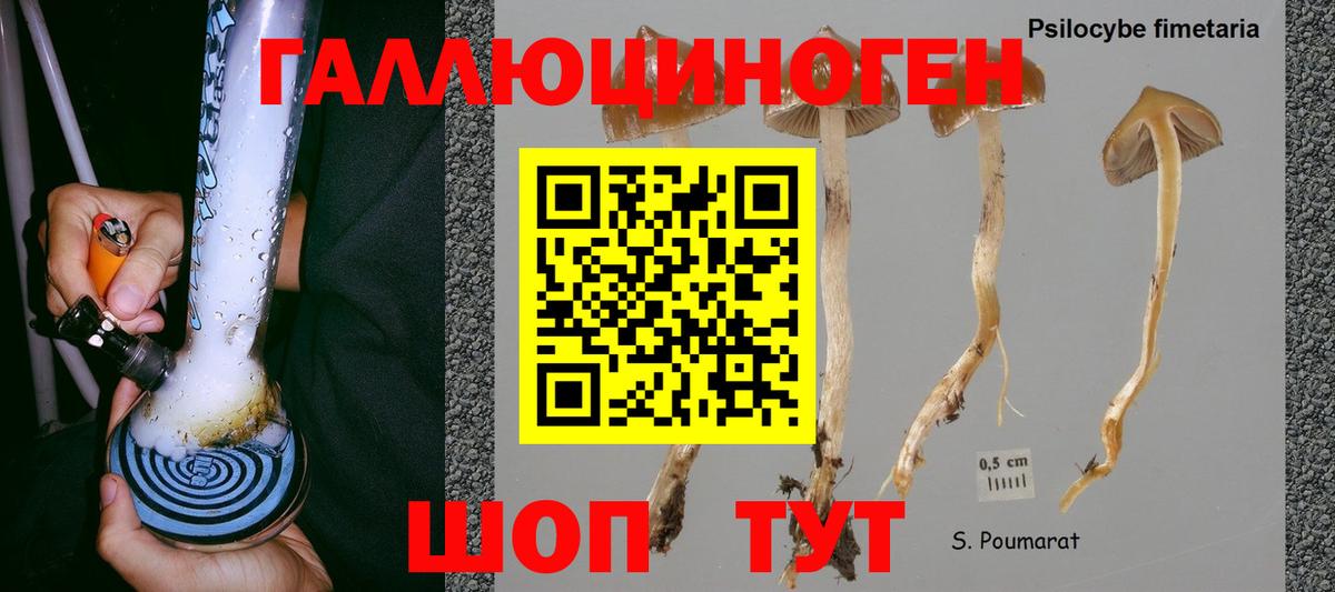 Тосно  Галлюциногенные грибы MAGIC MUSHROOMS  Вход с VPN 